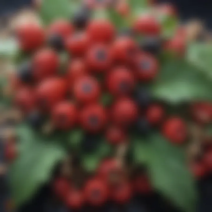 Close-up of a hair accessory adorned with realistic berry designs.