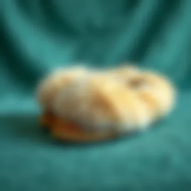 Sustainable Fashion Practices Sustainable practices in the fashion industry represented by fox fur slippers