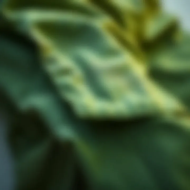 Close-up of sustainable fabric used in green cargo pants