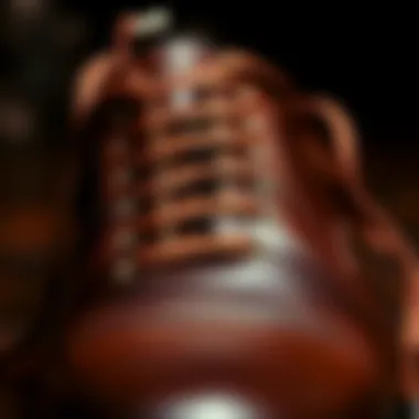 Luxurious leather shoe laces showcased elegantly