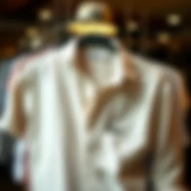 Diverse Styles of Casual Shirts A collection of various styles of casual shirts displayed elegantly.