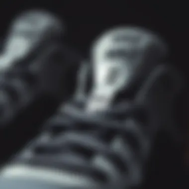 Close-up of the Sneaker's Materials Close-up of the sneaker's materials