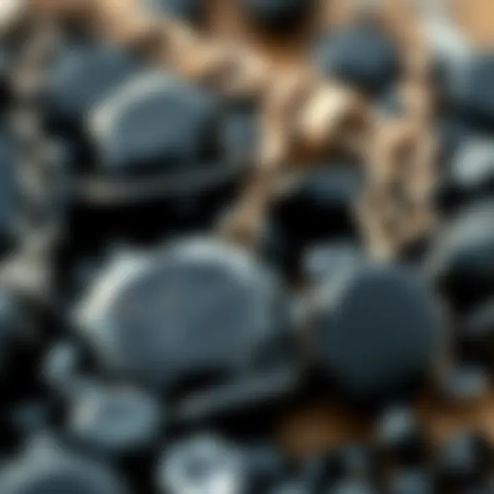 A close-up view of various black gemstones, showcasing their unique textures and colors in a natural setting.