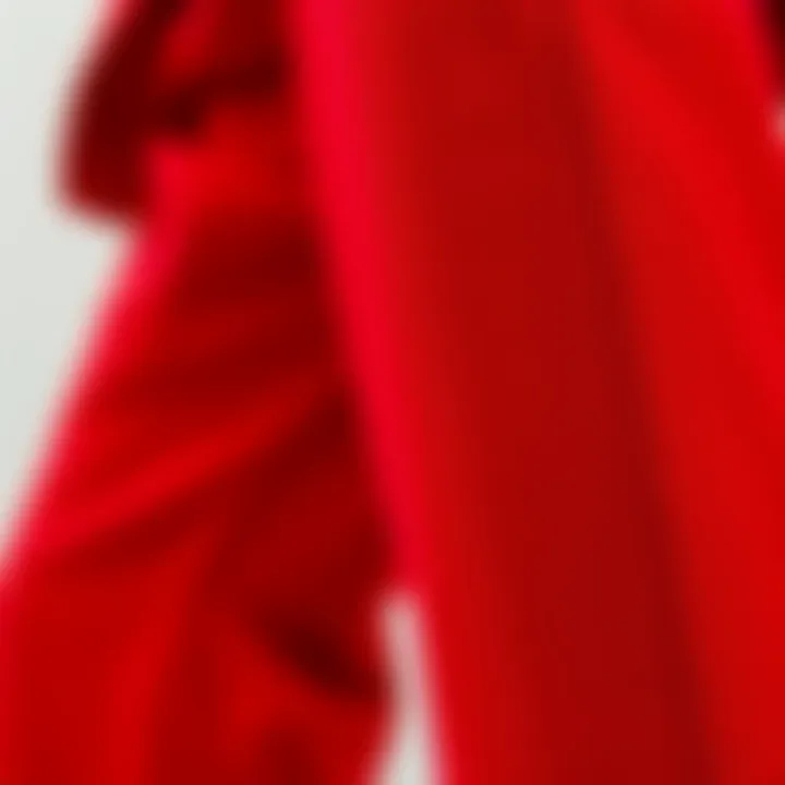 Close-up on the texture and fabric of red wide leg pants