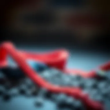 Sustainable Sweat Band Materials Sustainable materials used in the manufacturing of sweat bands