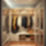 Elegant acrylic dividers enhancing wardrobe style