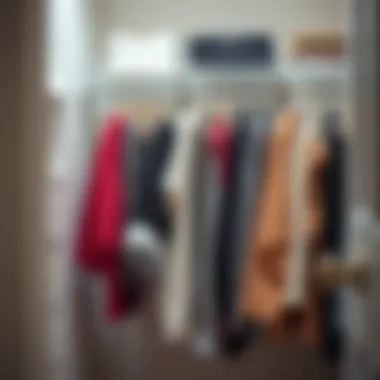 Organized closet featuring clear acrylic dividers