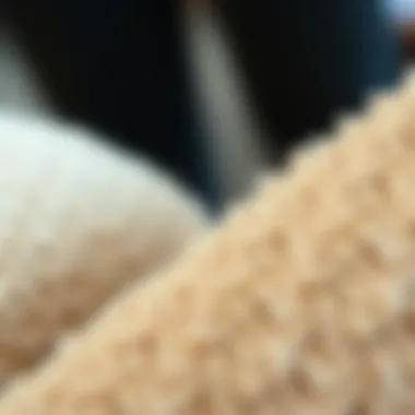 Close-up of fleece lining showcasing texture and warmth