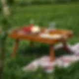 Elegant picnic tray set on a grassy field