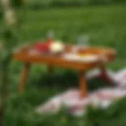 Elegant picnic tray set on a grassy field