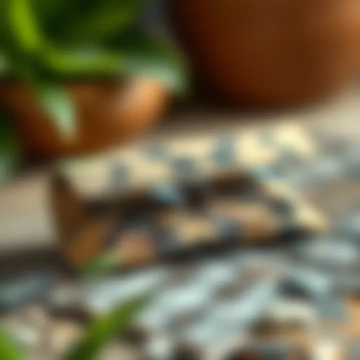 Sustainable materials showcased in foldable eyeglass case