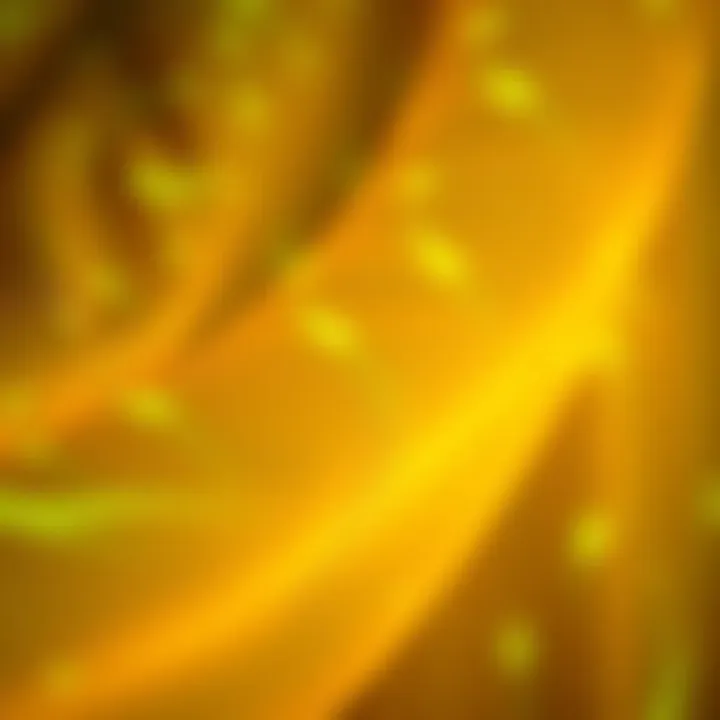 Close-up of glowing fabric textures