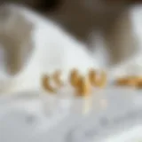 Elegant gold moon nail decals on a polished surface