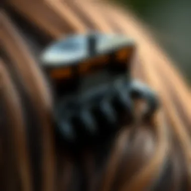 A close-up of a high-quality big claw clip made from durable materials, emphasizing its grip strength.