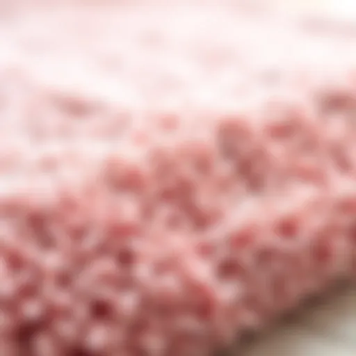 Close-up of a plush, absorbent bath mat showcasing its texture and color