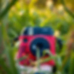 Stylish Instax camera with a vibrant case outdoors