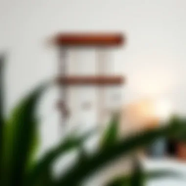 Elegant wall mount necklace organizer showcasing a minimalist design