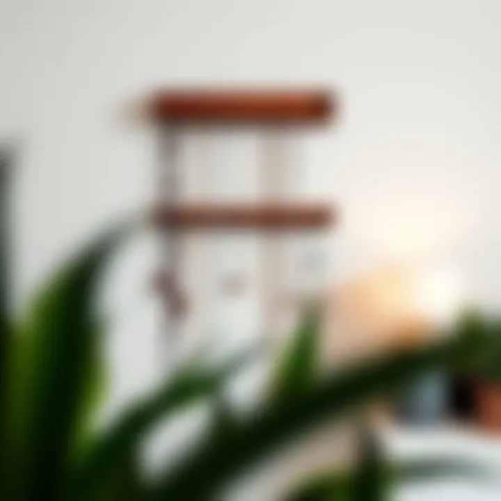 Elegant wall mount necklace organizer showcasing a minimalist design