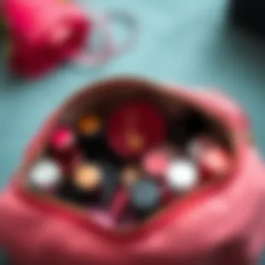 Organized interior of a stylish makeup bag