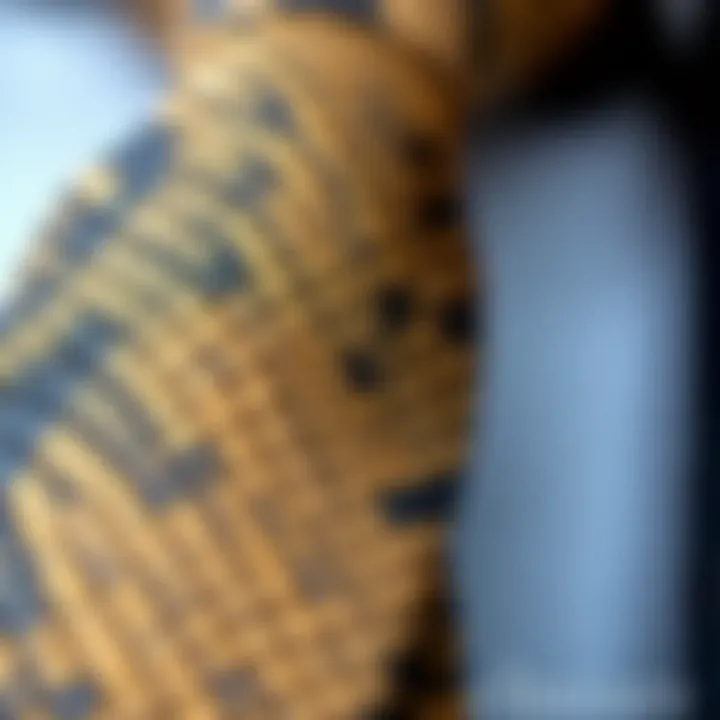 Close-up of the intricate texture of a snakeskin tie