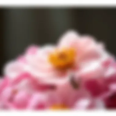 Sustainable comparison: silicone gel petals versus traditional flowers