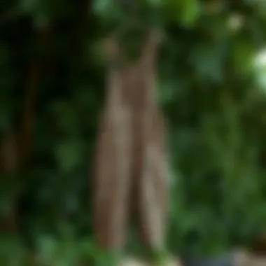 Sustainable fabric options for leopard print overalls displayed