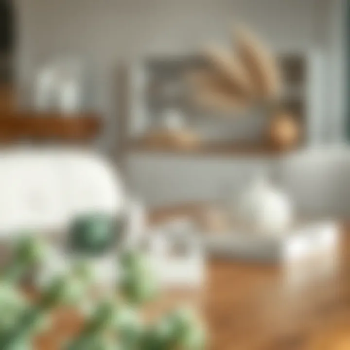 White washed wood trays adorned with decorative items in a minimalist decor