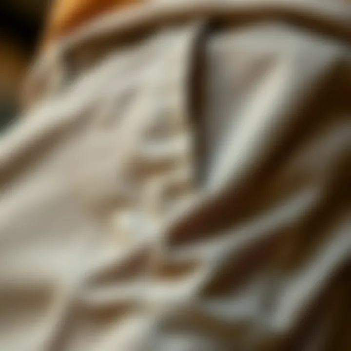 Fabric Texture of Stretch Chino Shorts Close-up of fabric texture highlighting stretch material in chinos