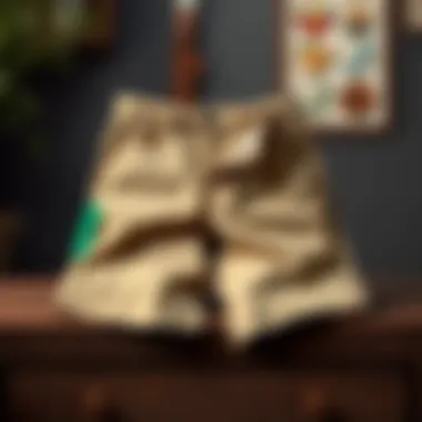 Stylish Slim Fit Chino Shorts Stylish slim fit stretch chino shorts displayed on a wooden surface