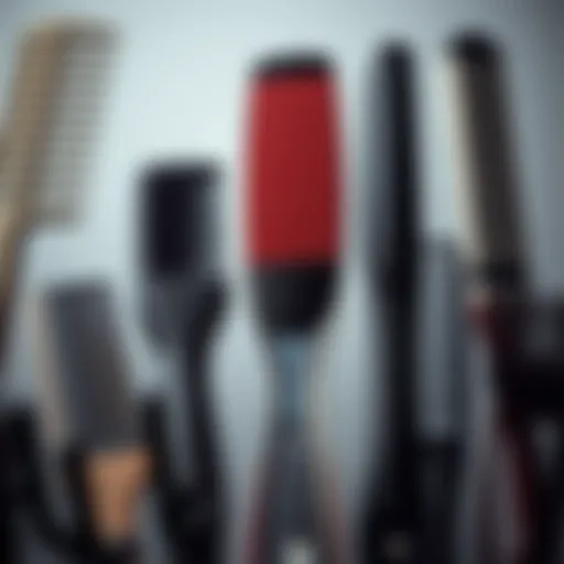 Diverse Types of Combs for Every Hair Type Artistic display of different comb styles