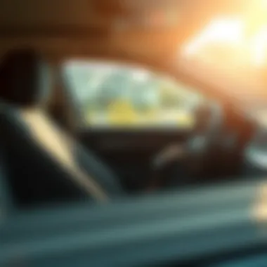 Organized car interior with purse holder in action
