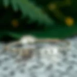 Elegant silver name bracelet with delicate engraving