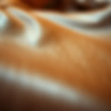 Luxurious Leather Texture Close-up of luxurious leather texture