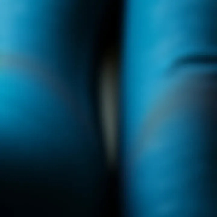 Exploring Fabric Choices for Comfort Close-up of fabric textures of Bermuda length leggings