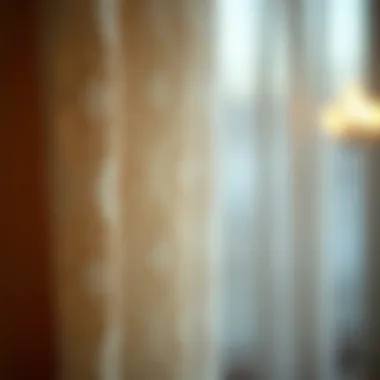 Textured Intricate Lace Fabric Close-up of intricately designed lace fabric showcasing texture