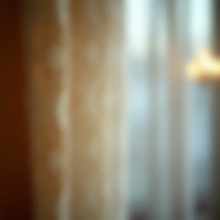 Textured Intricate Lace Fabric Close-up of intricately designed lace fabric showcasing texture