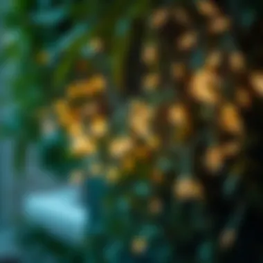 An artistic arrangement of string lights intertwined with greenery